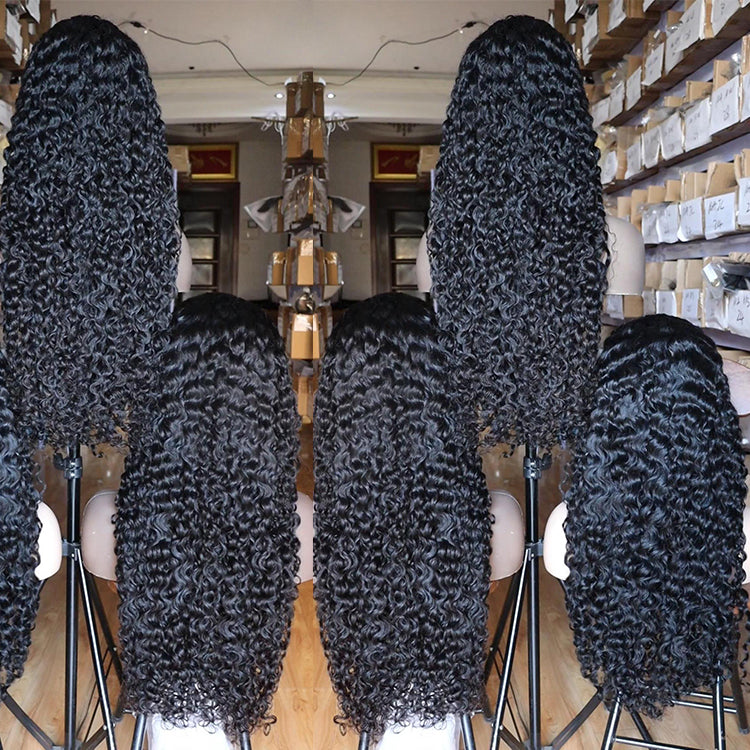 13x6 hd lace wig raw burmese curly