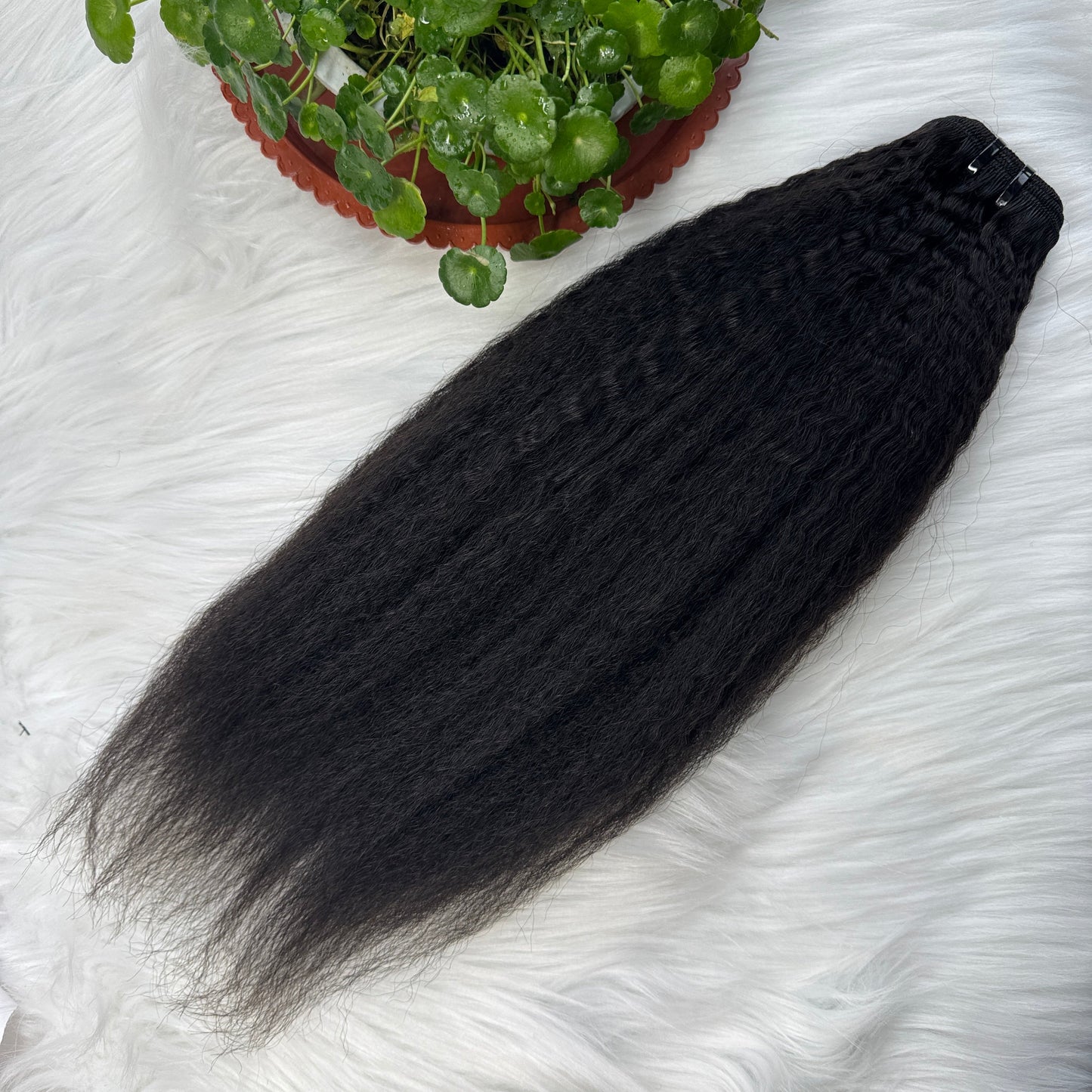 (3Bundles+5X5 HD Closure) Raw Kinky Straight Hair Bundles Double Drawn