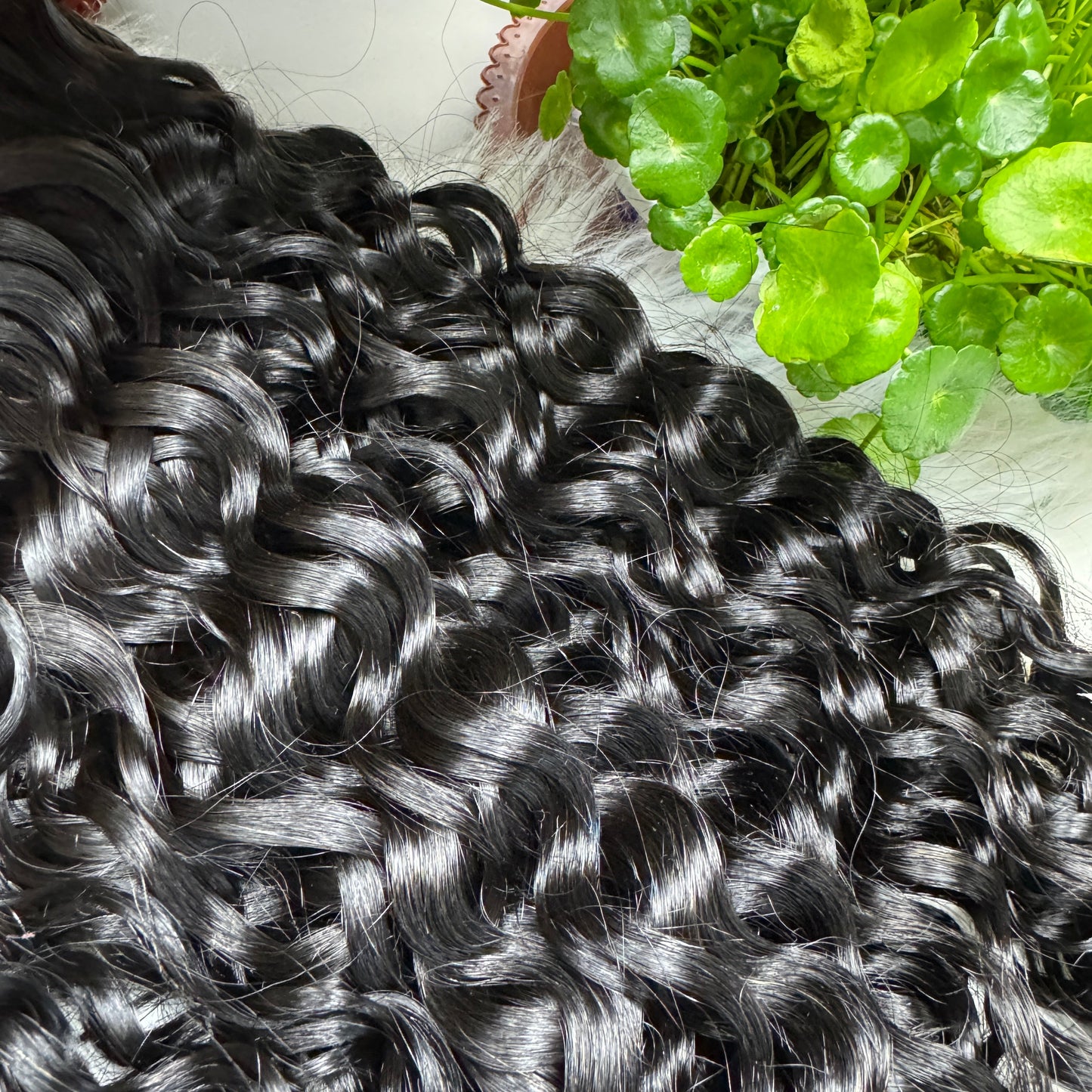 (3Bundles+5X5 HD Closure) Virgin Water Wave Hair Bundles Double Drawn