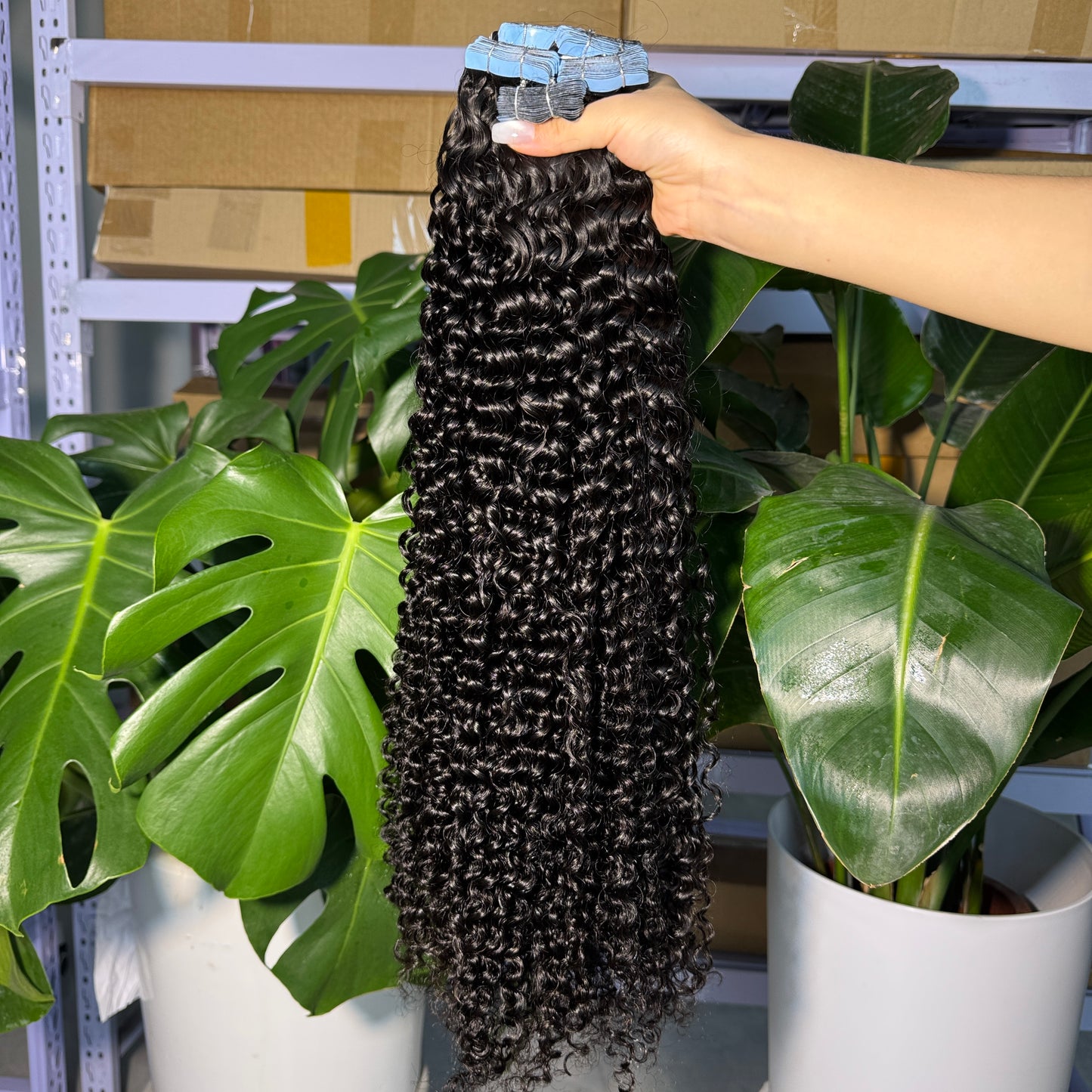 deep curly Tape in Extensions